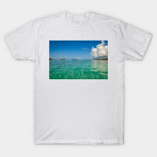 Blue & Green Tropical Waters T-Shirt